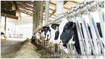 Animal welfare: what to expect from a trading standards visit