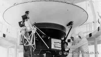 Search is on for legendary Voyager 2 spacecraft after NASA accidentally severs contact with humanity's second most distant probe 12 billion miles from home