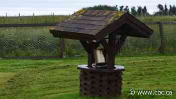 High levels of arsenic detected in wells across N.L. — and more could be at risk