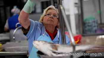 Arbeitslosigkeit in der Eurozone im Juni auf Allzeittief