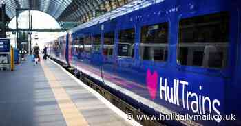 Police investigation after man 'seen masturbating' on Hull to London train