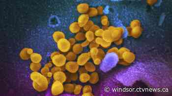 Under the microscope: Canada’s response to COVID-19 pandemic questioned