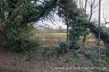 Herts council finds enough green belt for 907 new homes