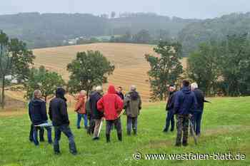 Heide-Feldwespe gibt es bislang kreisweit nur in Vlotho