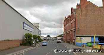 Kittens die after being 'thrown from moving car' in Goole