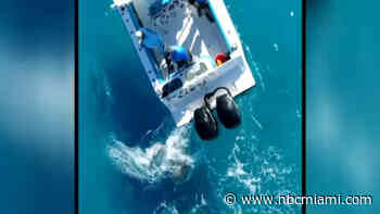 Aggressive bull shark attacks fishing boat in South Florida