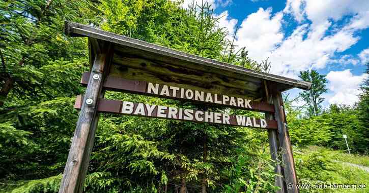 Freistaat investiert im Bayerwald: Behörden und Tourismus