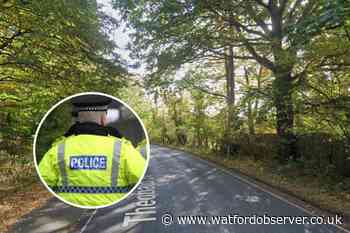Radlett man dies after Audi hit tree in Theobald Street