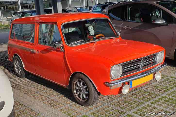 Mini Clubman Estate (1980) - In het Wild
