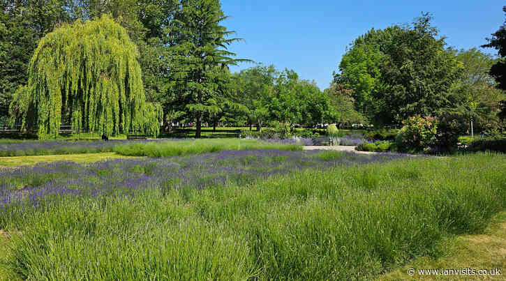 London’s Pocket Parks: Vauxhall Park, SW8