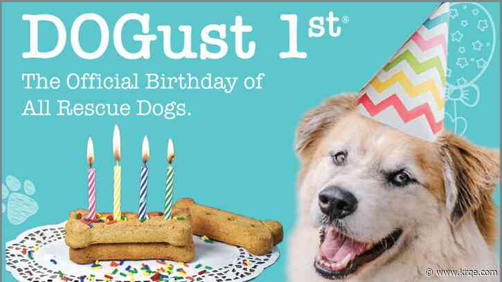 Santa Fe Animal Shelter offers discounted adoptions for 'DOGust'