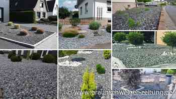 Schottergärten in Wolfsburg: Heftige Reaktionen auf das Verbot