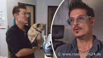 „Will ihm den Schmerz nehmen“: Chris Töpperwien bangt bei „Goodbye Deutschland“ um Mops Rudi