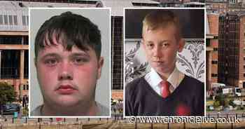 'It's an insult' - Mum's fury at 'soft' sentence handed to speeding driver who killed her son