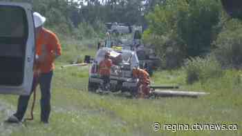 Land dispute between farmer and SaskPower flares up with trimmed trees