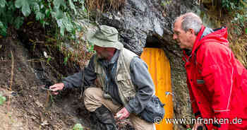 Ludwigsstadt: Spuren von erstem Massensterben der Erdgeschichte in Schiefergestein entdeckt