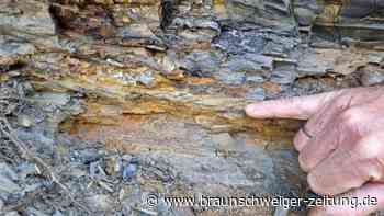 Spuren von erstem Massensterben entdeckt – War Klima schuld?