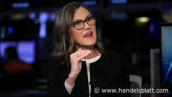 Ark Invest: Trotz 60 Prozent Rendite: Anleger kehren Cathie Wood den Rücken