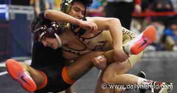 Loyola Academy earns six All-America honors at national wrestling tournament in Fargo