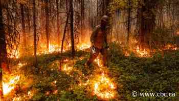 As unprecedented fire year rages on, experts warn of longer, more destructive seasons