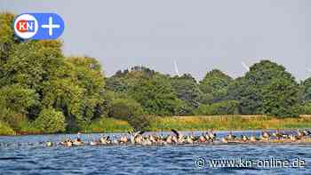 Nabu in Preetz: Per Touchscreen in das Ökosystem Lanker See eintauchen