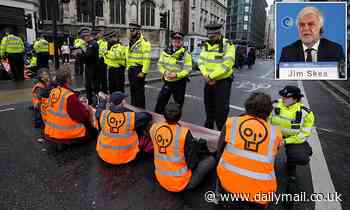 Doom-monger eco activists like Just Stop Oil and Extinction Rebellion are 'paralysing' the fight against global warming with apocalyptic messaging, new UN climate chief warns