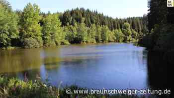 Am Zellerfelder Kunstgraben entlang wandern