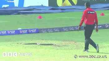 Watch: Snake invades Sri Lanka cricket match