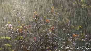 Starkregen im Garten: Mit neun Tipps Beet &amp; Co. sichern 