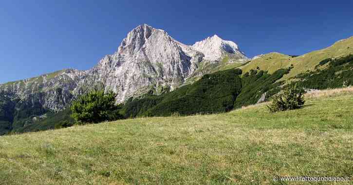 L’Aquila, un orso fa irruzione in un campo scout. Il direttore del Parco: “Tenda piazzata nella casa dell’animale, capi irresponsabili”