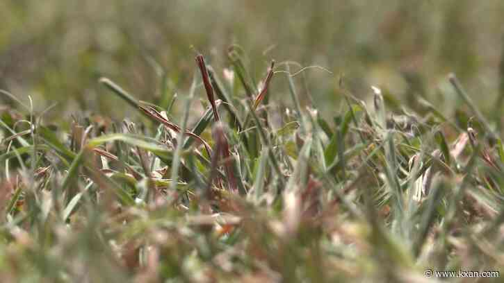 Water restrictions evident for Williamson County as lake levels decrease, says water supplier