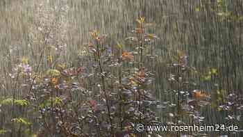 Starkregen im Garten: Mit neun Tipps Beet &amp; Co. sichern 