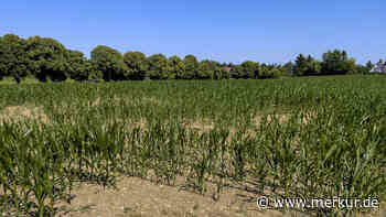 Deutschlandweite Höchsttemperatur in Franken gemessen – Juli trotz Abkühlung in Bayern viel zu heiß