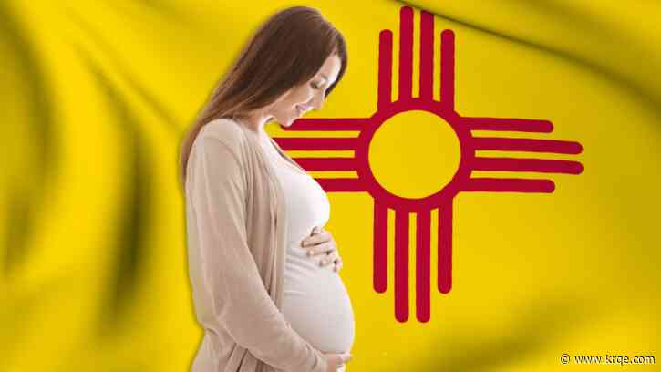 New Mexico weighs in on Idaho abortion 'travel ban'
