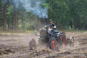 Stemwede:  Bis zu 700 Alttraktoren und Maschinen reisen an