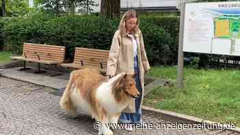 Mann gibt 12.000 Dollar aus, um sich in Hund zu verwandeln – Video zeigt seinen ersten Spaziergang