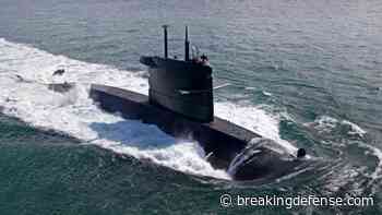 ‘Niche capability’: Netherlands to assess 3 offers for 4 new submarines