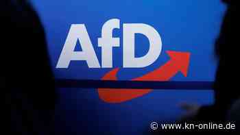 AfD nach aktueller Umfrage 4 Prozentpunkte hinter Union
