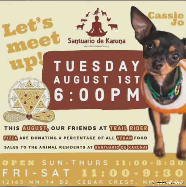 Vegan Outreach vegan chef challenge