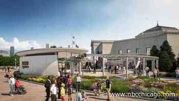 The Shedd Aquarium is getting a massive redesign. Here's what it will soon look like