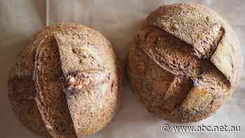 Wheat prices rise as Russia's bombs fall, lifting the cost of your daily bread