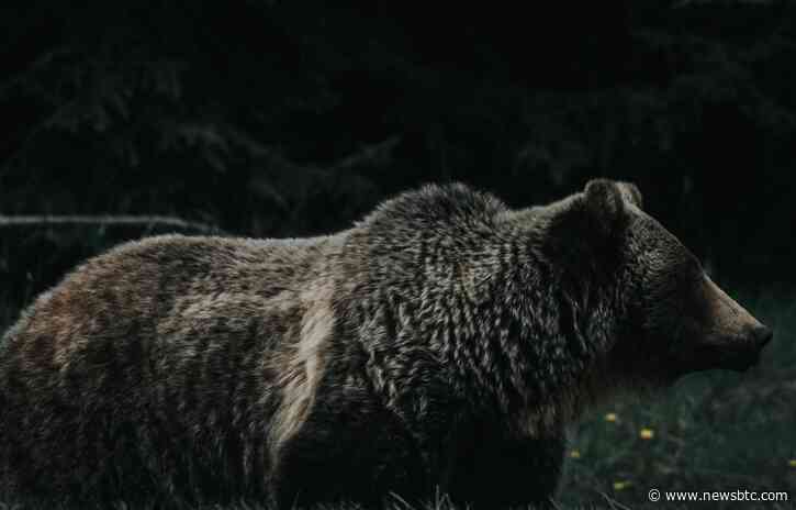 Bitcoin Price Forecast: Dark Days Ahead As $29,200 Support Fails