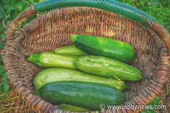 Get ready to sneak some zucchini onto your neighbour’s porch Aug. 8