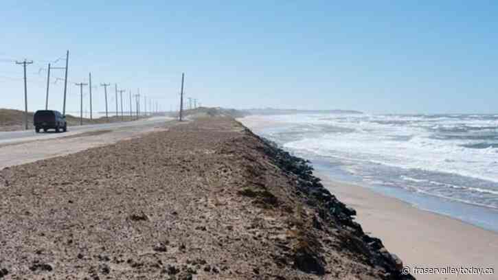 Divers have found seven shipwrecks off Quebec’s Iles-de-la-Madeleine this summer