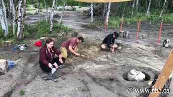 Marine reptile skeleton dating back to age of dinosaurs discovered in southern Manitoba