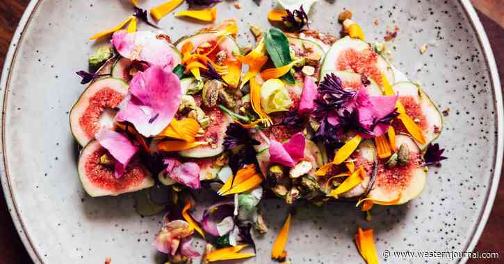 Vegan Influencer Dies of 'Starvation and Exhaustion' After Pushing 'Raw' Diet Too Far: Report