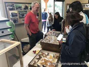 Ellis Bird Farm set to host annual Bug Jamboree