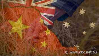Deadline looms for China's response to lifting tariffs on Australia's $1.2b barley trade