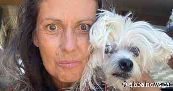 Harsh rental housing market continues to hit Calgarians hard, driving some out of city