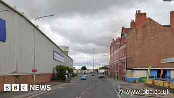 Kittens die after being thrown from car in Goole, says RSCPA